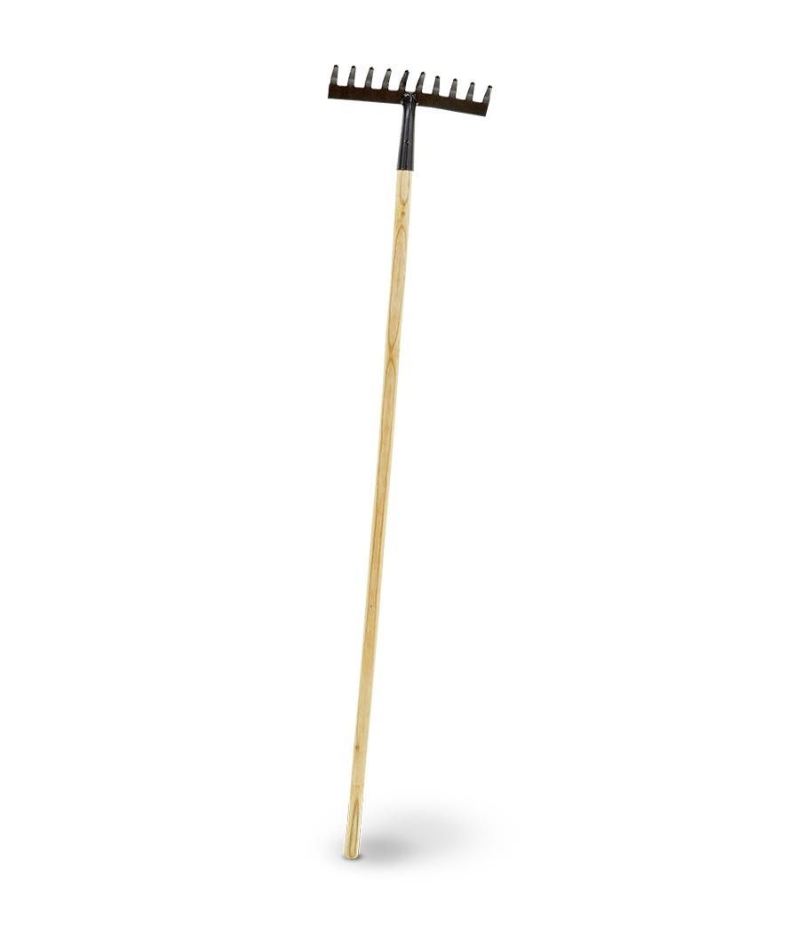 Rastrello 10 denti 