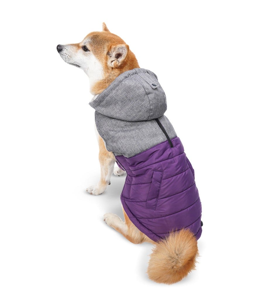 Cappottino per cani interno in pile