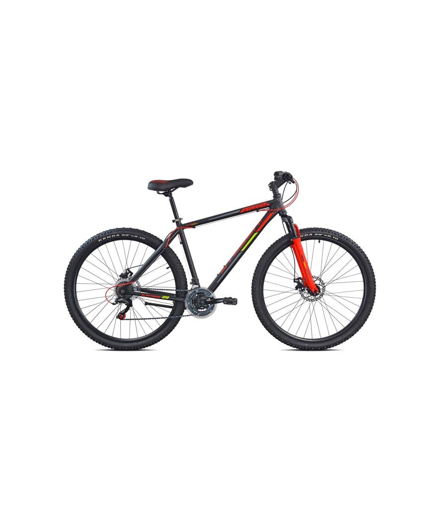 MTB HARDTAIL 29