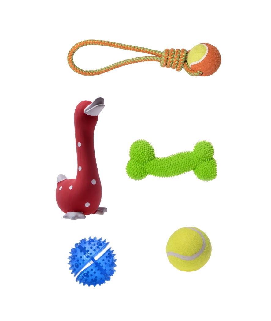 Kit Magic Pet gioco cane multicolor