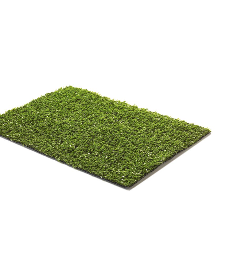 Prato verde Basik 2x5 m verde