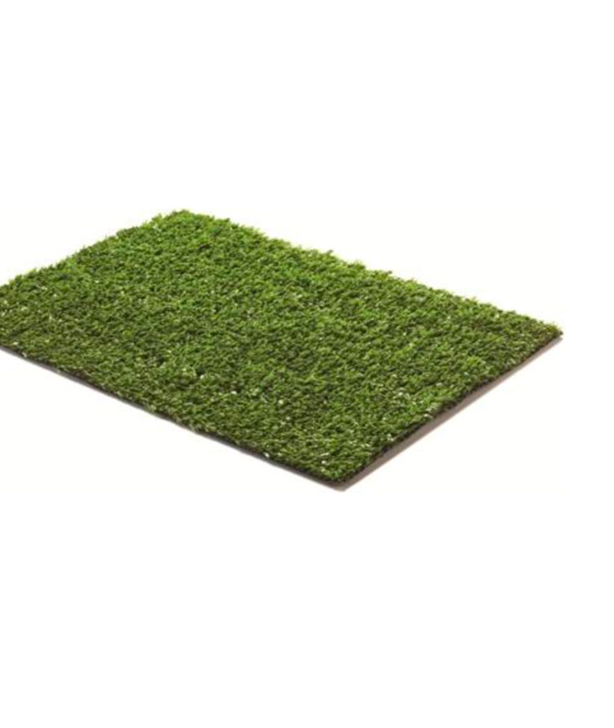 Prato verde Luxury 1x25 m verde