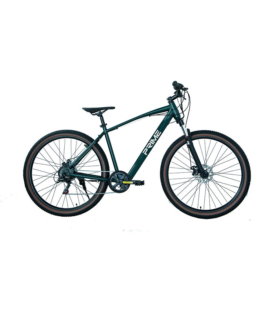 MTB elettrica 29 EML29206DA nero e verde