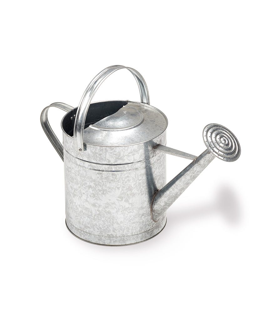 Innaffiatoio zincato 5L grigio